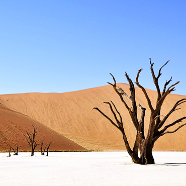 Namibia Skeleton Coast